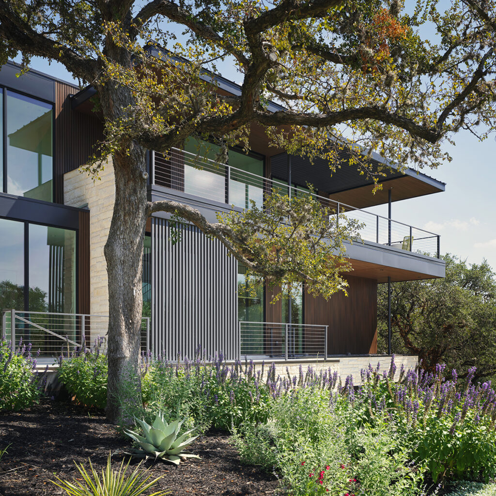 timberlinespeccover